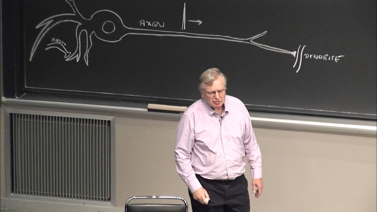 Lezione 12a: Reti neurali — Patrick Winston