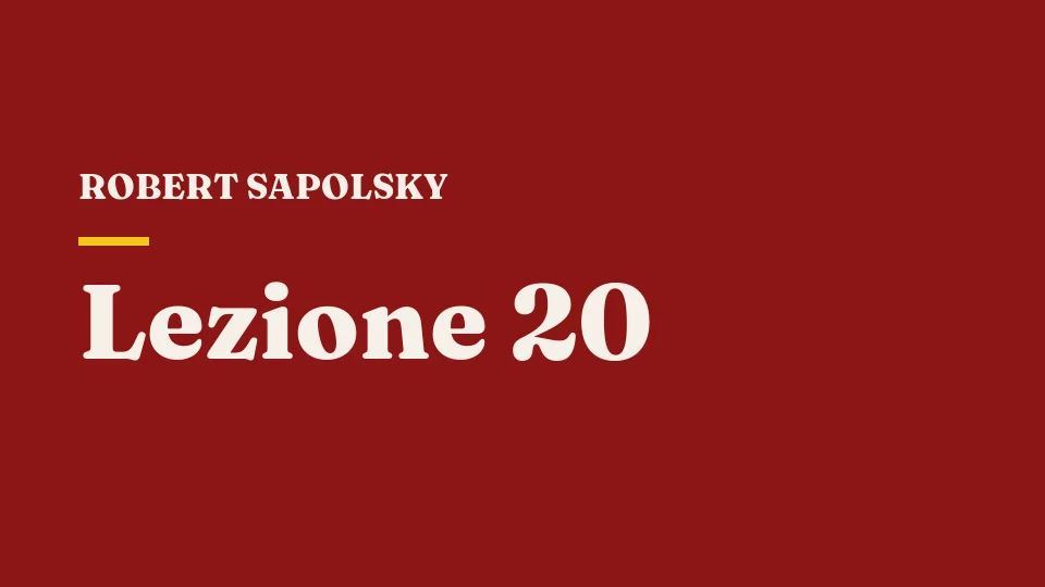 Lezione 20: Aggressività IV — Robert Sapolsky